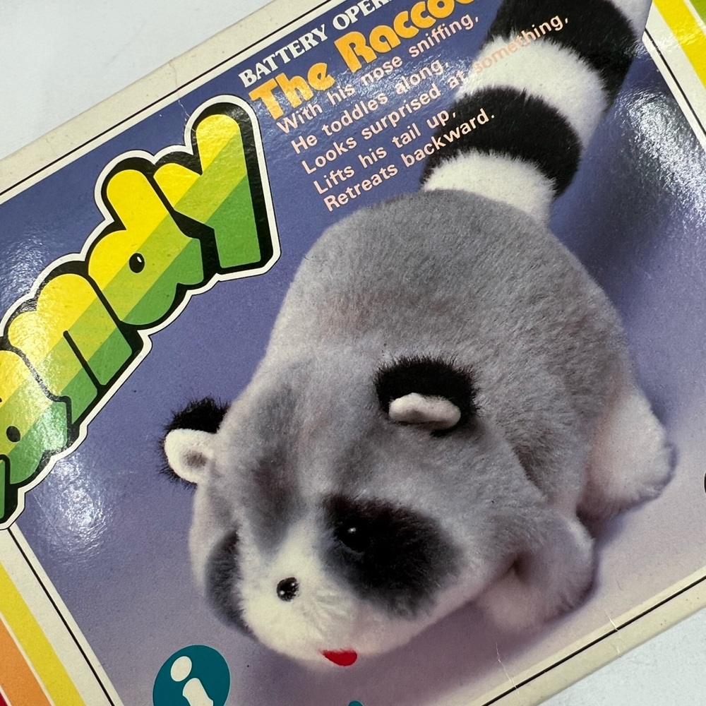 Randy the Raccoon